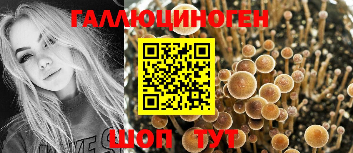 Псилоцибиновые грибы MAGIC MUSHROOMS  Вход с VPN  что такое наркотик  Волгодонск 