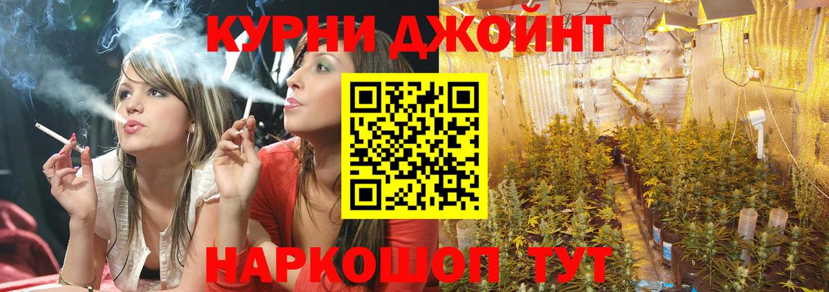 Конопля семена Волгодонск